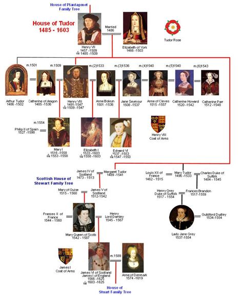 tudor and stuart family tree|royal family tree henry viii to present.